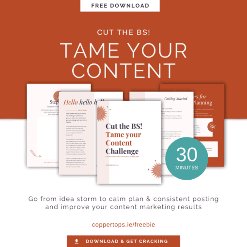 Cut the BS! Tame your Content Graphic
