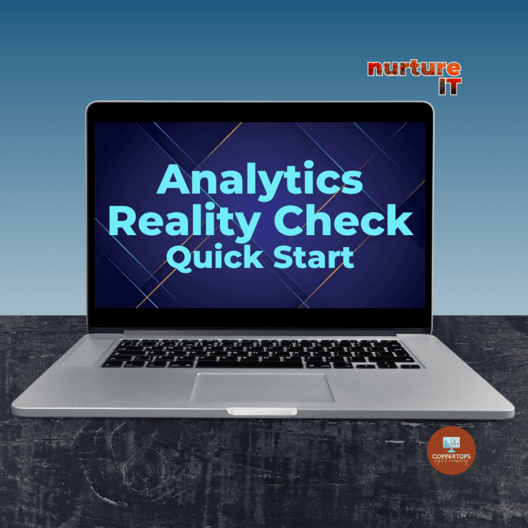 Analytics Reality Check Freebie