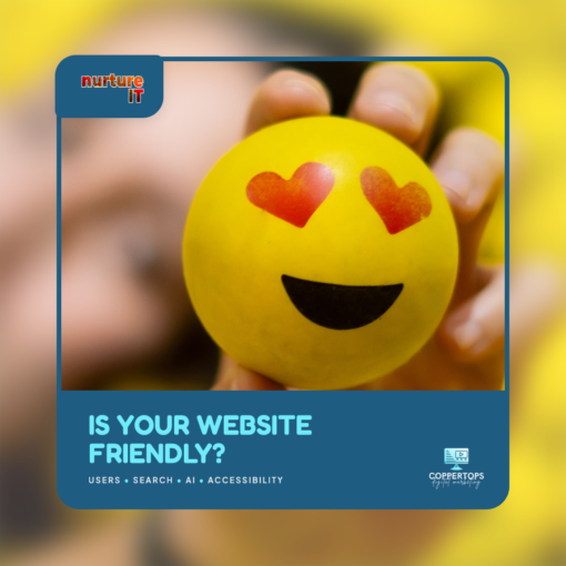 Is your website friendly - Nurture IT Members Call