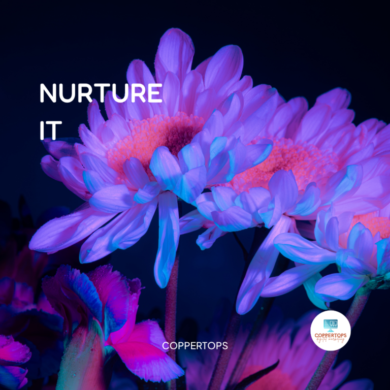 Nurture IT